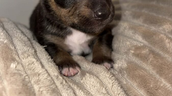 att.3xTTxuYbNKnpqgngHked2ul0Abt0co7VMA2VD483eXs