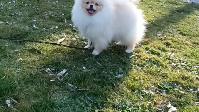 att.BQ0eE9fEMENrGdq bYwLiF70Z7ZsmTN7EEaJwq6bJ7k