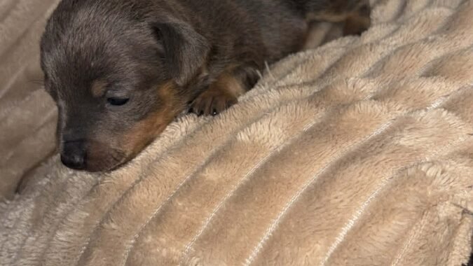 att.BdzBZwMj Ju8CkmE5jY1EoglfPa2wsVlLv6KLlpTrSs