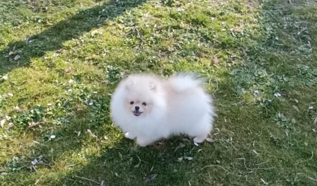 att.Ct6 jt9XeOa576S5 DUwH COnRYD0KQ0s86tpHMdf5I