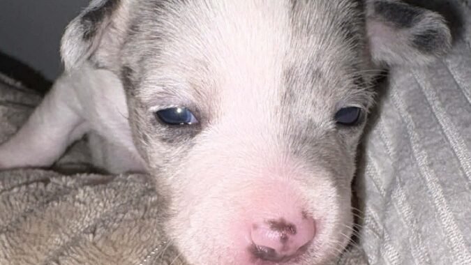 att.GEottqZDKSdrLWYqf4aO97a95FBC4remo5tggUM0U2w