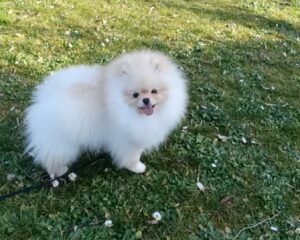 att.IoQYUUqOlP3p5PEkzoFatLsYbzpol5zWsmvLx9CV2hA