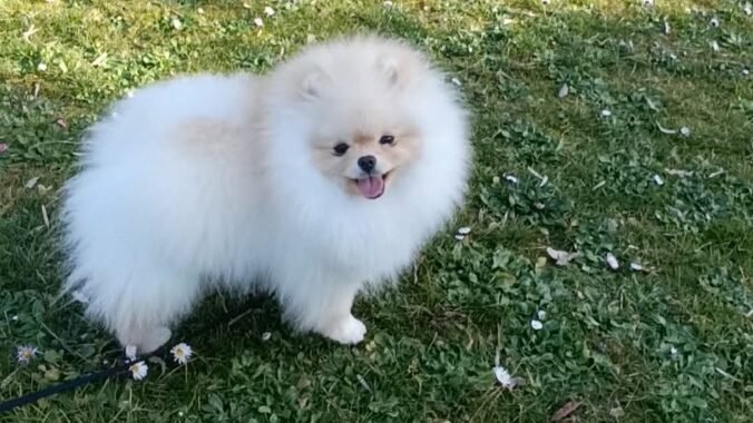 att.IoQYUUqOlP3p5PEkzoFatLsYbzpol5zWsmvLx9CV2hA