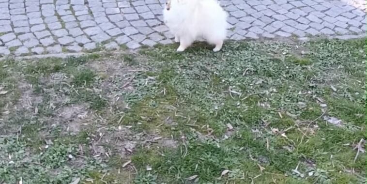 att.JeFPwwmkkPSQ5hc08fKmK0lJ7nLsKnxTkVlXtovXXtE