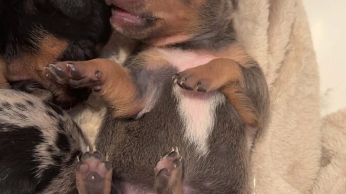 att.WYofSnh2dWE2bJaqEU7W7noB531RaBDRPHl 7DUnxb0