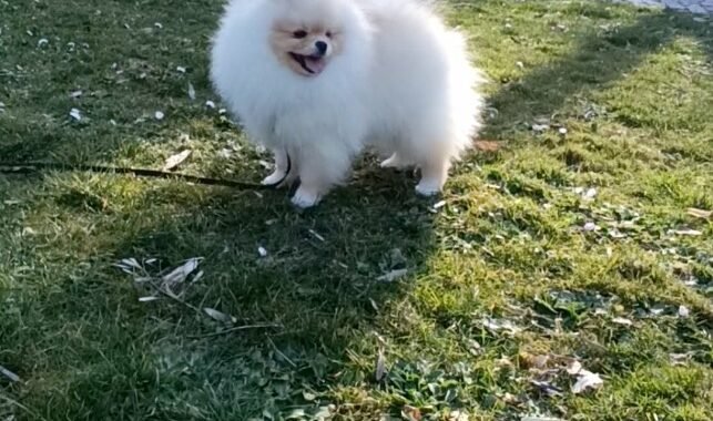 att.Zfv hCqg1wu3qgAjQKya2vzKt52uztZBstzWH87VYVo