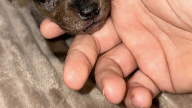 att.clduBfVb15BKylq1B18voaNs3gvZtIGSke Qd3Y4Kjw