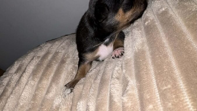 att.iOt6gsy0dc0pCtjfGsx7qypEO fmrbhcXie7wQ Apwk