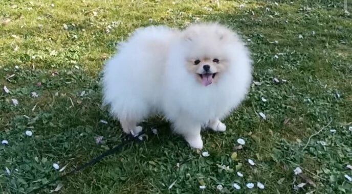 att.nwby1rEW0qWIV36UvtbDqW7MFhrGXxOW9WBnpO3JjYs