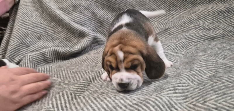 c1694d19 d679 4663 a04c 1c388d22fbf0