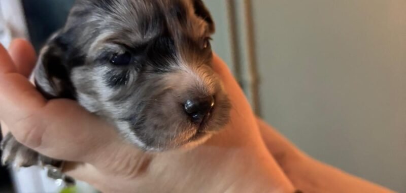 c9f9ba05 2513 48e5 8efd 7fef88ac210c