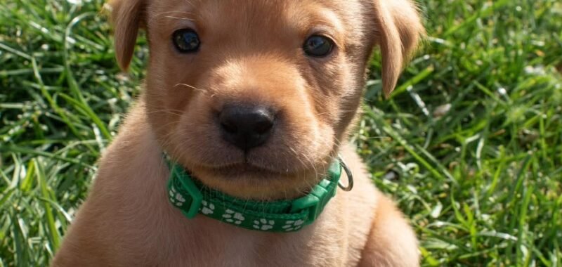 d046ccf7da26822fec5dd821f574c161