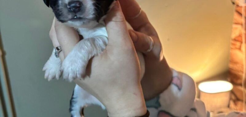 d2acf8ad e384 4727 8744 9b0bd7b126a7