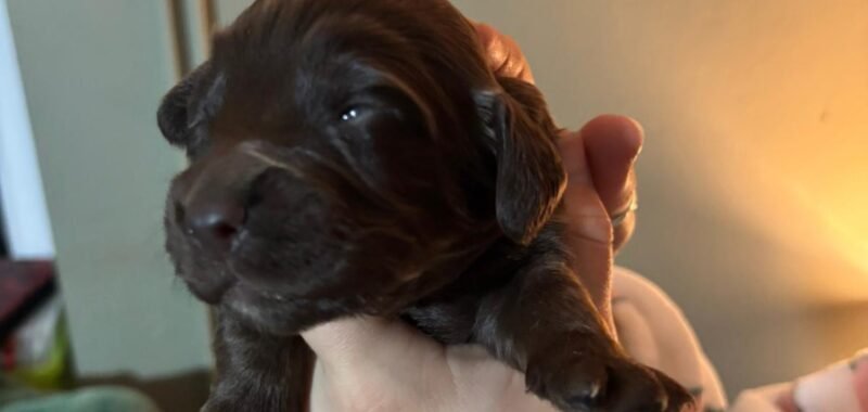 d4eb204b 60c0 410c ac59 b71094fa5dff