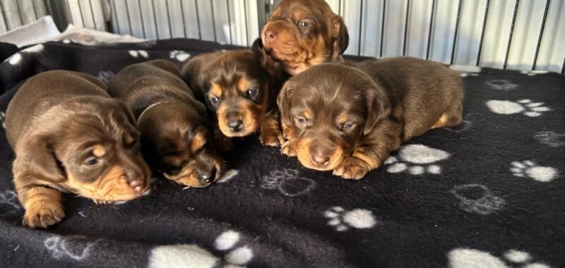 d4ec94e0 3b2e 41d7 ae0d df4aa9864247