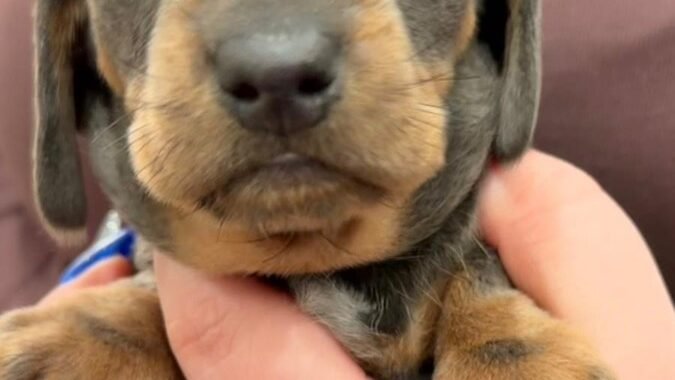 e2c4d6a1 2029 4c0d adcb 979eb6a8671b