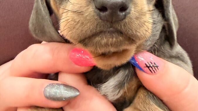 ec4aca3c d813 4506 9c0a ad56bd261c13