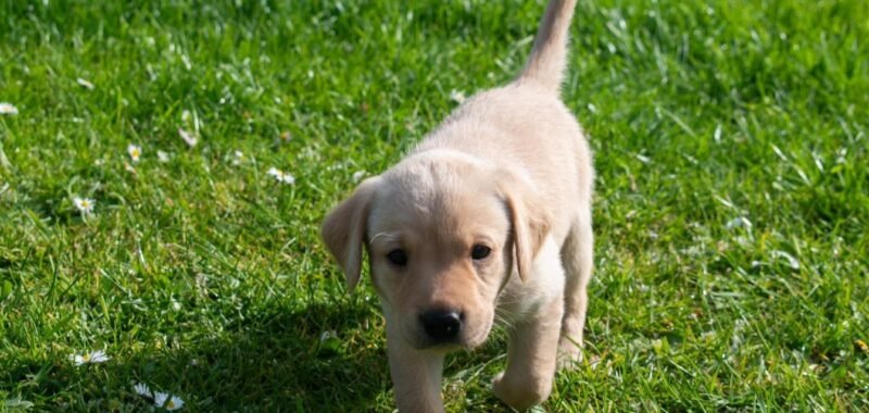 fe6f463d9c178cbb0ab8973ab3e4ec44