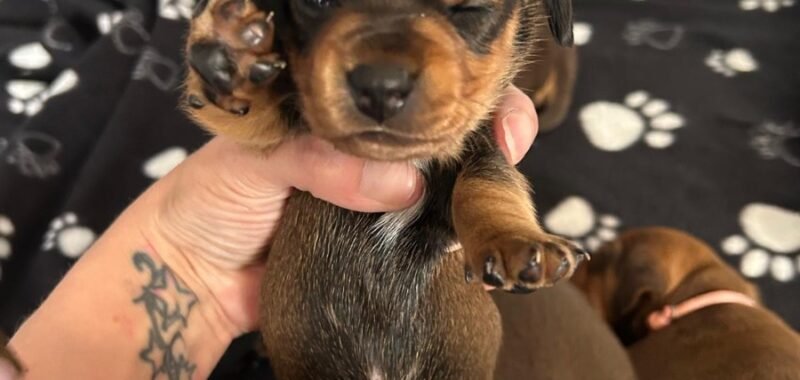 febe4d32 2b4a 4f1d a4bd de43dfe7e450