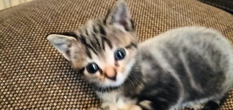 trashed 1777908337 IMG20260404161354