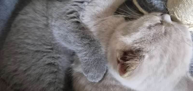 974