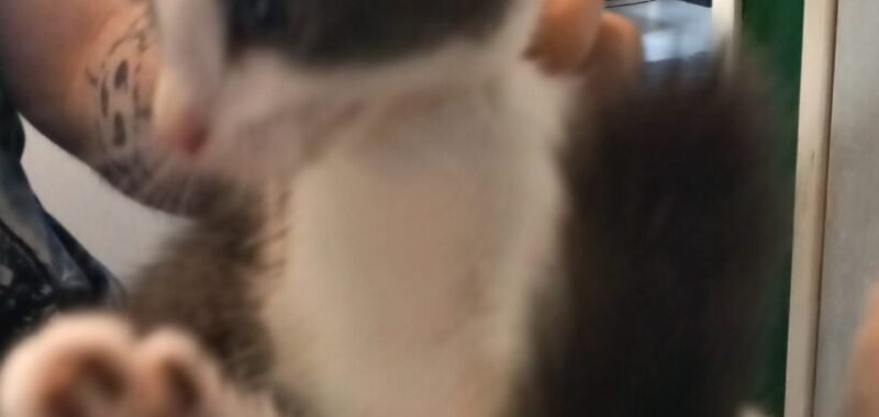 1000026869