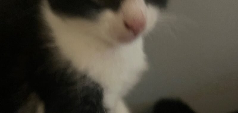 IMG 3823