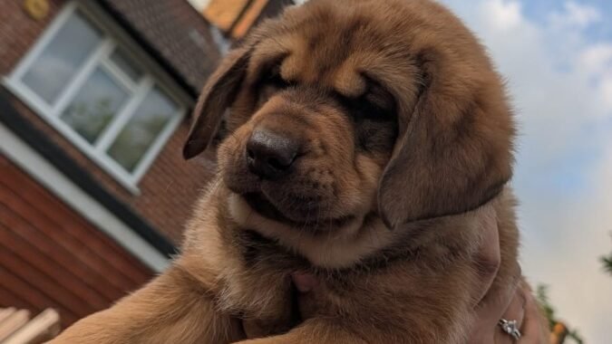 1000117510