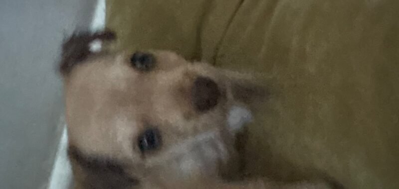 IMG 3557