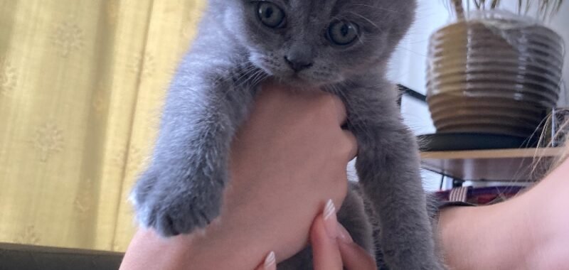 IMG 9297