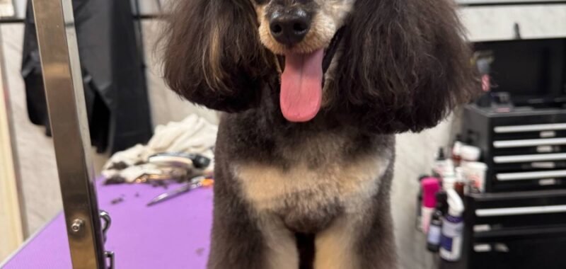 att.niB6rIv6 YzI5AH8U1xObszqfLbGLW3jT10qO rfDsY