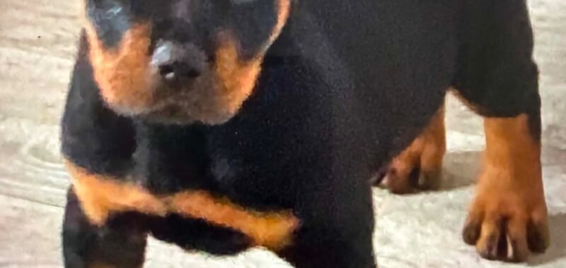 att.sFuD7TJwpVokfi7F Ap8fK FLxVQ1hIep1o8wtBzwKo