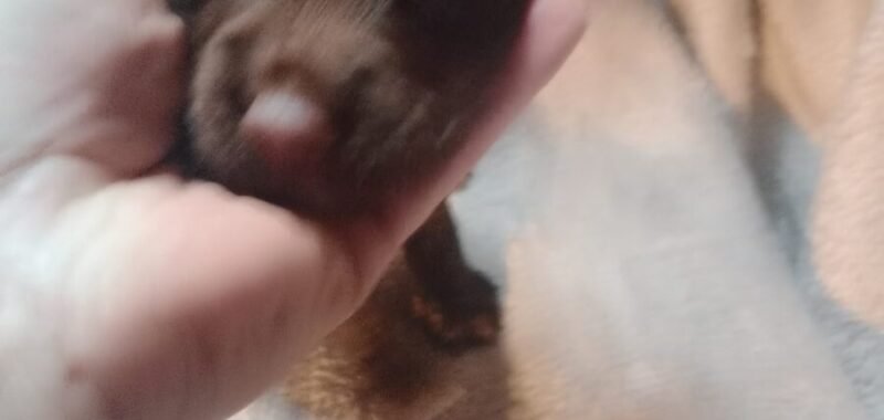 1000004714