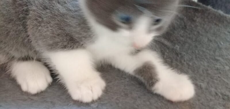 1000007928