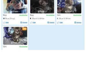 Screenshot 20260806 181058