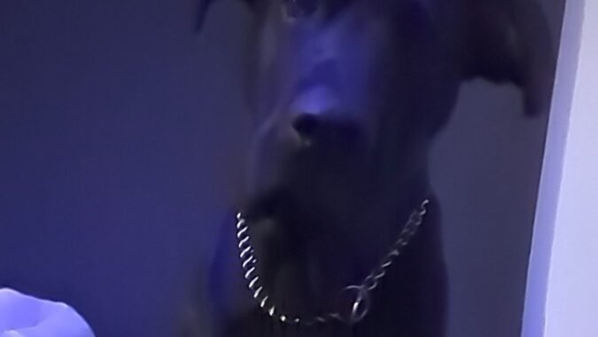 2042