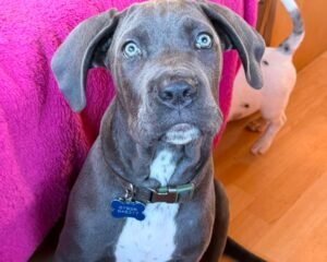 cdc873f3 54f3 4b29 adff b7f08e5d71e9