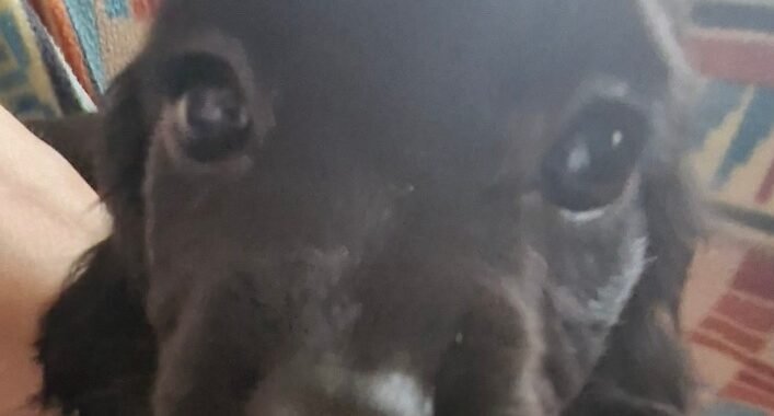 1000129749