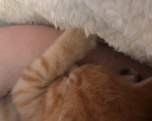 IMG 2637