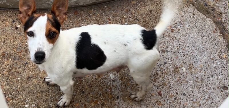 att.WtOJTjxY7zaFSCj3Xn2k4o7i5y1vgxHSUd3G67L3 k